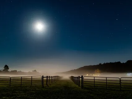 Prepare For Sleep With Total Relaxation 