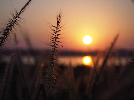 Prepare For The New Year (30th Of December)