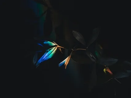 Prepare For The Night: The 61 Points Meditation