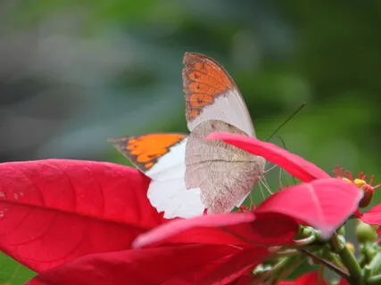 Prepare Your Attention