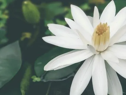 Prepared But Never Ready