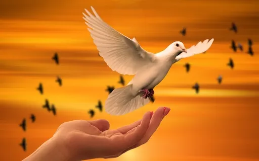 Preparing For Meditation: Pratyāhāra