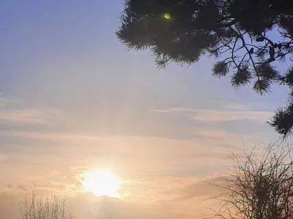 Preparing For Spring Nidra