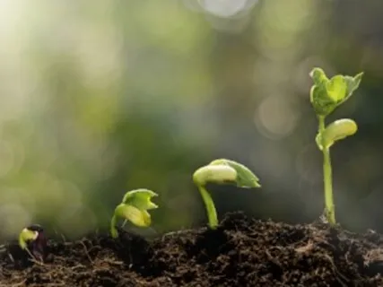 Preparing For Spring: What We Plant Will Grow