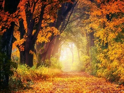 Preparing For The Path Ahead