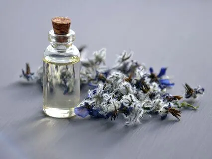 Preparing The Body And Mind For Medical Intervention