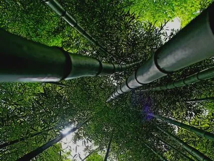 Preparing The Inner Ground