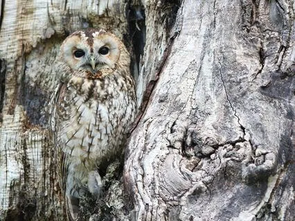 Preparing The Mind For The World