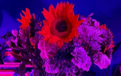 Preparing The Way Affirmation Meditation