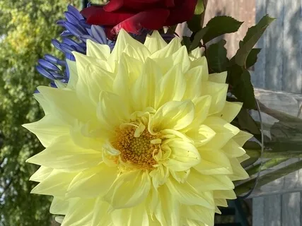 Preparing Your Mind To Concentrate