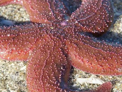 Preparing Yourself For Abundance