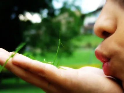 Prescription For Healing: Let Go & Replenish