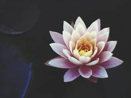 Presence - Ambient Bliss for Spa, Reiki & Massage | 432hz