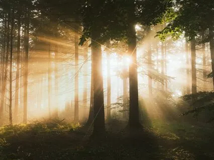 Presence And Being Meditation