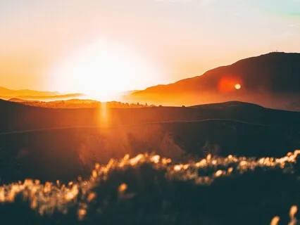 Presence & Facing Climate Crisis