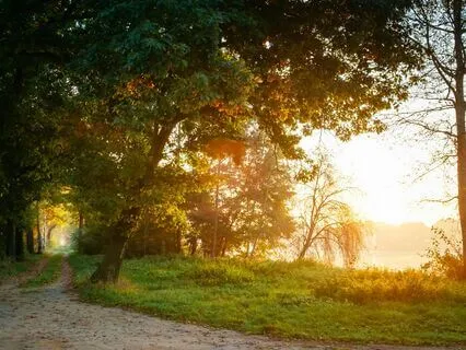 Presence And Gratitude Morning Meditation