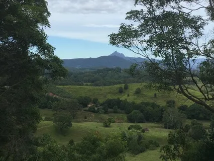 Presence And Stillness