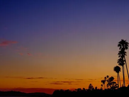 Nature’s Flow: Mutual And Free - Breath And Breathing Body