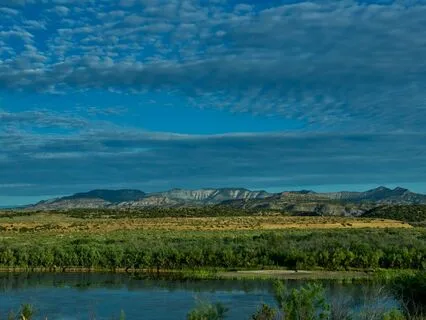 Nature’s Flow: Mutual Flow Quality - Shoulders, Hands & Seat