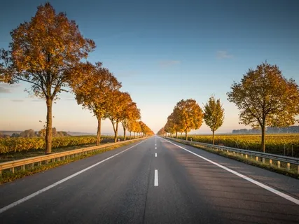 Presence In The Body