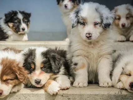 Pause Here - Everything Can Wait.