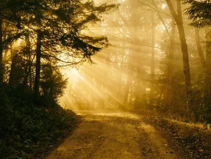 A Non-Dual Meditation For When Your Relationships Define You