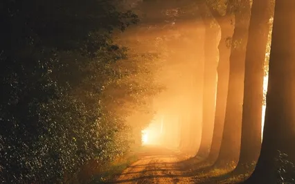 Presence Reveals Infinite Self: Shunyamurti