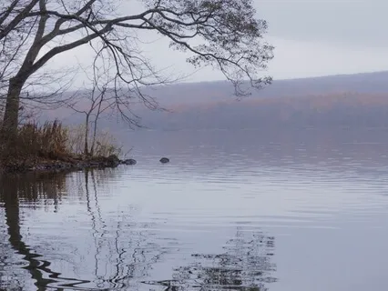 Presence, Surrender & Acceptance