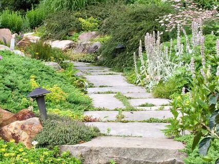 Presence Through Tending Your Mind, Body, And Soul Garden