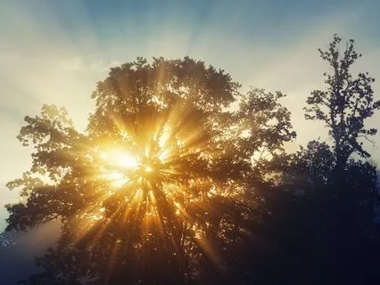 Presence Unfolded: Rediscovering Balance - Meditation 86