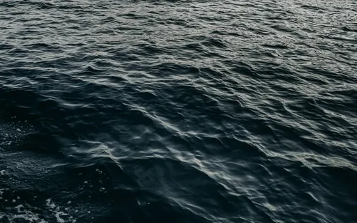 Presence With Your Breath