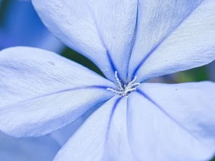 Being Present With Your Growing Child