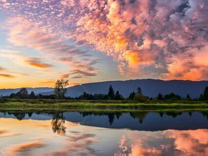 Finding Calm: A Journey To Presence & Peace