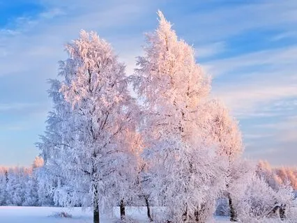 Present And Peaceful: Mindfulness Made Easy