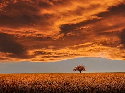 Present Breath & Body Awareness: Circuit Breaker