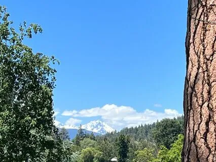 Present In Motion PiM - A Short Somatic Yielding Practice