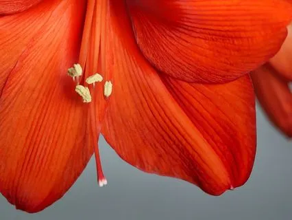 Present Moment Awareness: 432 Hz Meditation For Grounding