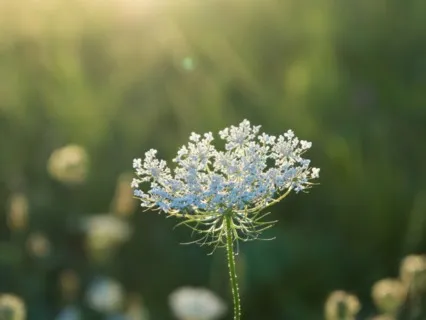 Present Moment Awareness Meditation