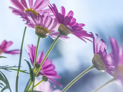 Present Moment Awareness Meditation