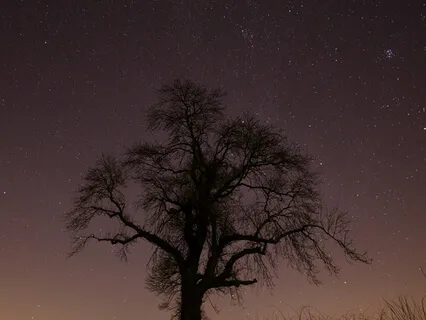 Present Moment Awareness