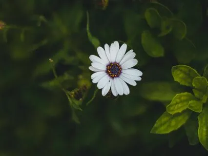 Present Moment Awareness