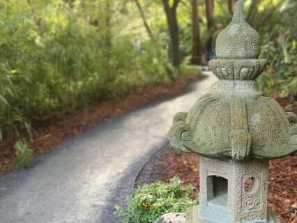 Present Moment Awareness