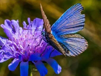 Release Your Thoughts And Calm Your Mind – With Chimes