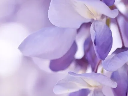 Present Moment Gratitude - A Different Take