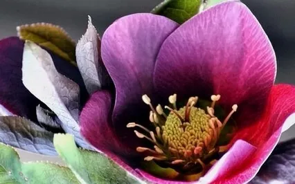 Present Moment Meditation