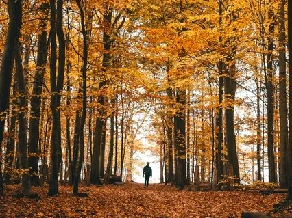 Present Moment Meditation 
