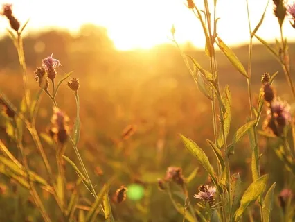 Present Moment Meditation for Beginners