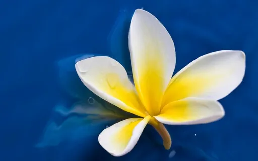 Present Moment Meditation For Inner Peace: Into The Vertical