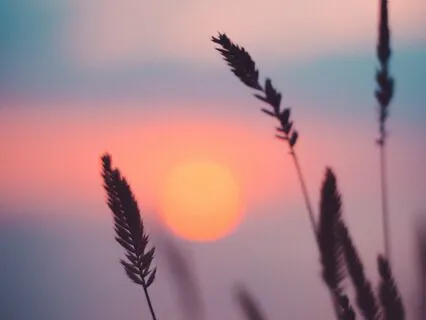 Coming Back To The Present Moment