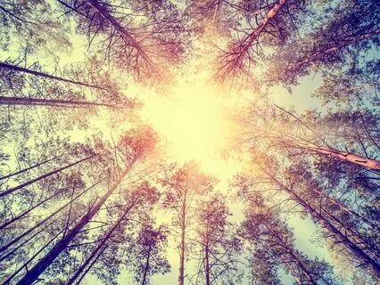 Present Moment Meditation